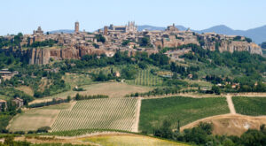 orvieto e vigneti